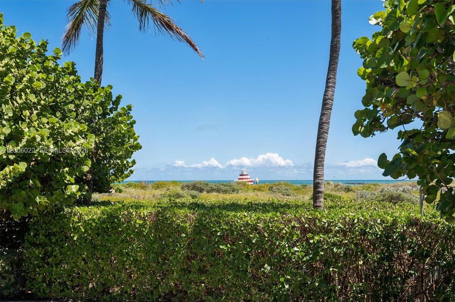 Natural landscape and outdoor views near  in Miami Beach (Image 12).