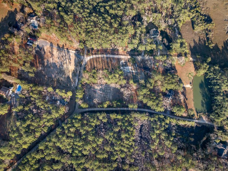 Natural landscape and outdoor views near  in Charleston (Image 17).