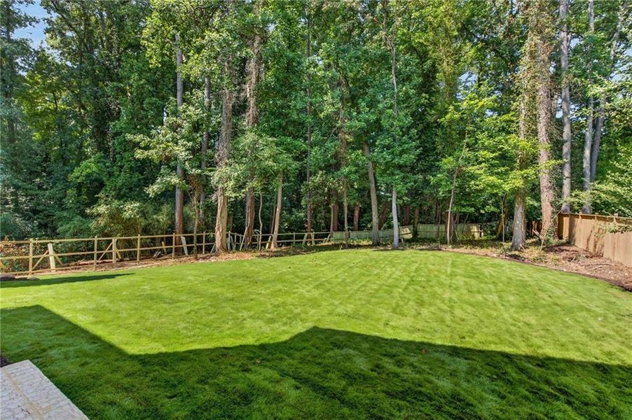 Natural landscape and outdoor views near in Atlanta (Image 74). Natural landscape and outdoor views near in Atlanta (Image 74).