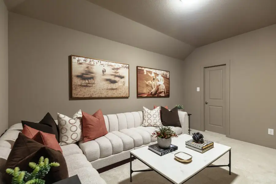 Representative Entertainment Room - some options shown