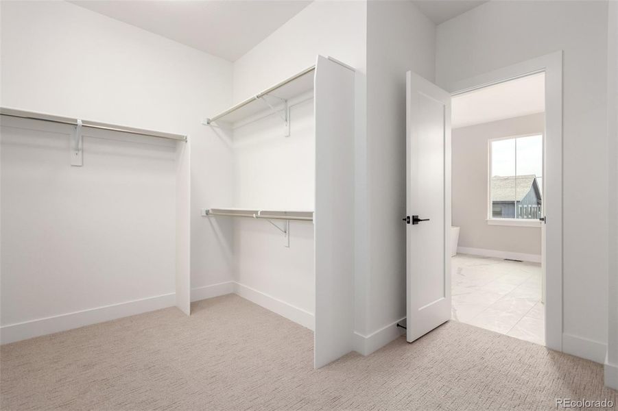 Spacious, unfurnished interior of a new home in West Grange, Longmont (Image 22).