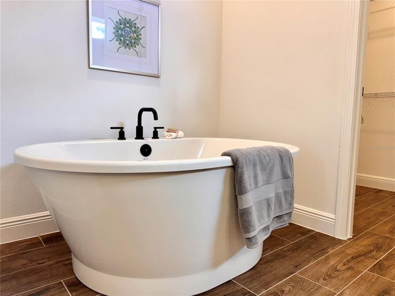 Primary Bath Stand-Alone Tub