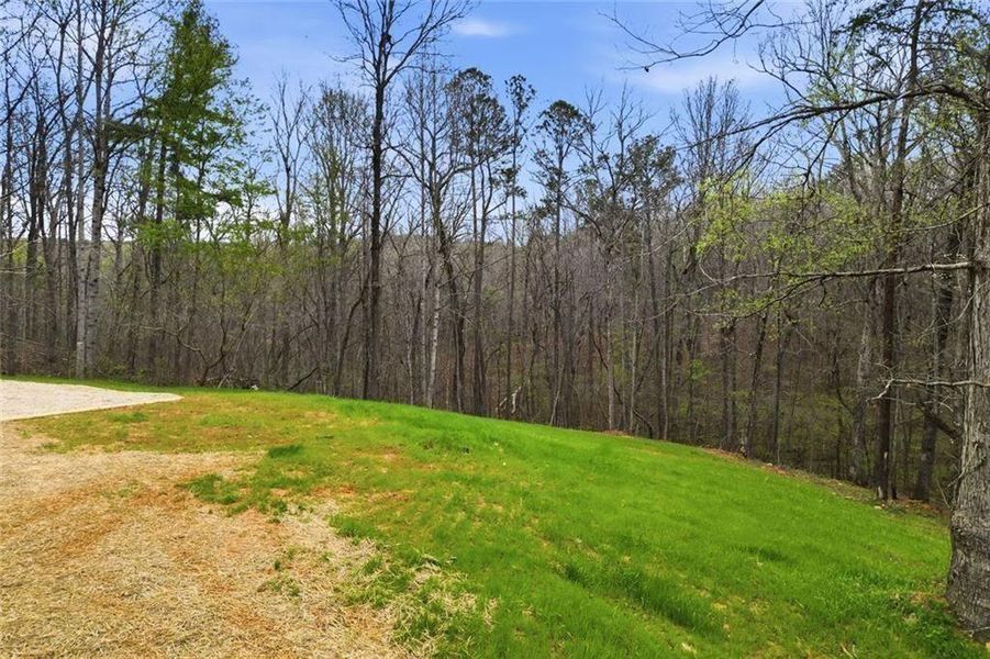 Natural landscape and outdoor views near in Ball Ground (Image 36). Natural landscape and outdoor views near in Ball Ground (Image 36).