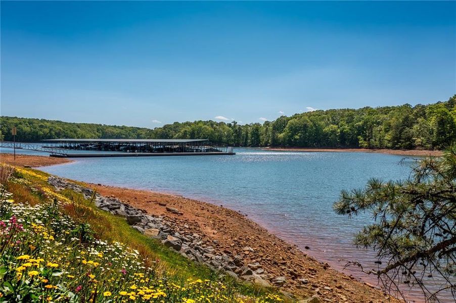 Natural landscape and outdoor views near  in Gainesville (Image 75).