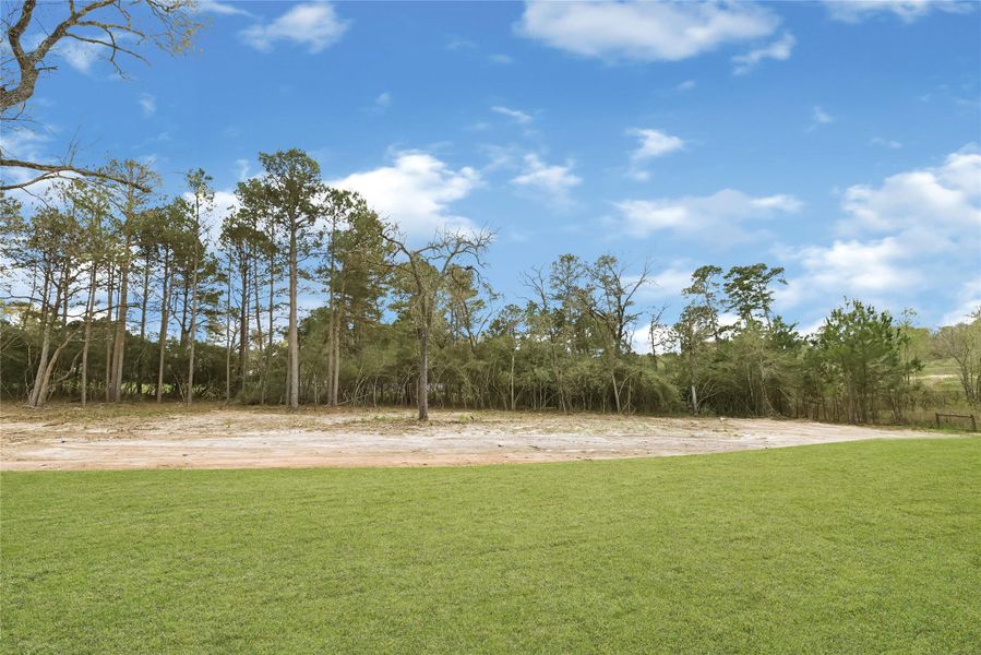 Natural landscape and outdoor views near  in Plantersville (Image 32).