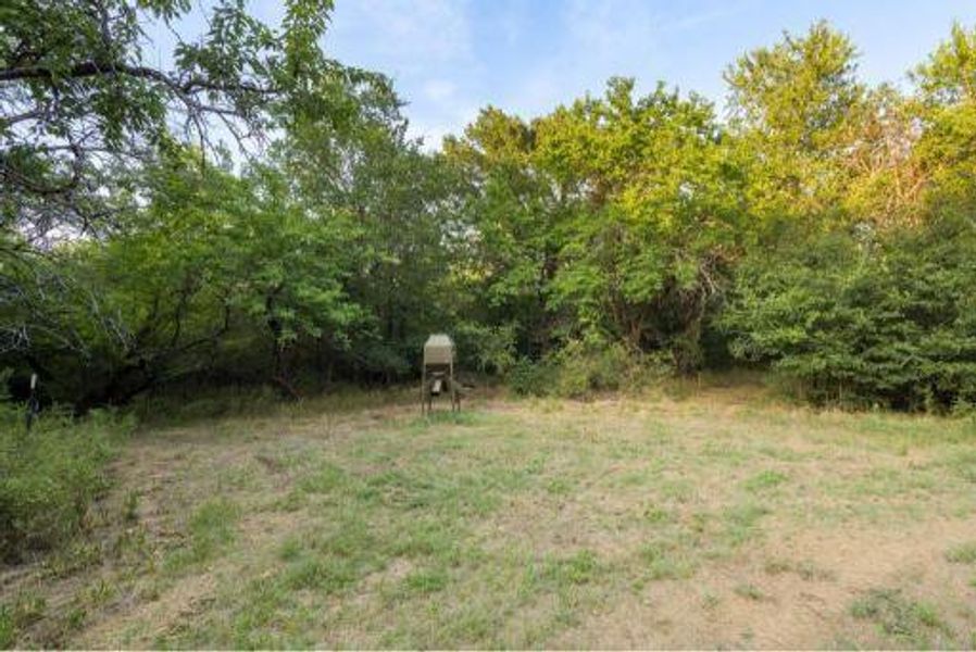 Natural landscape and outdoor views near  in Sherman (Image 25).