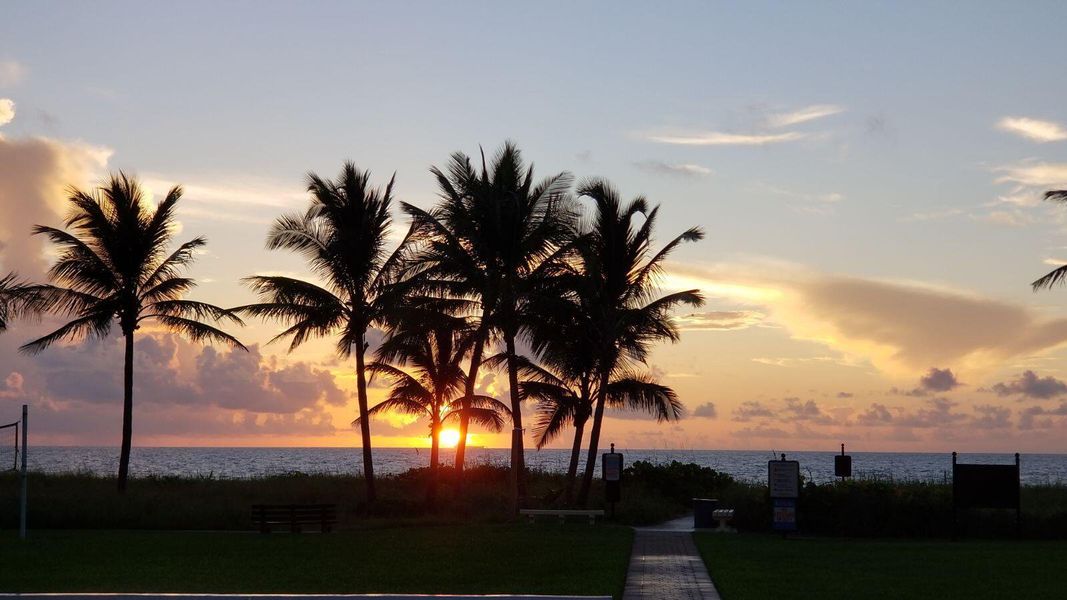 Sunrise