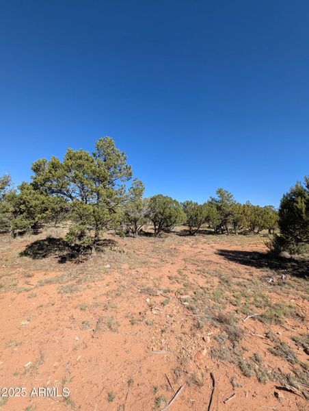 1000006417 1000006417