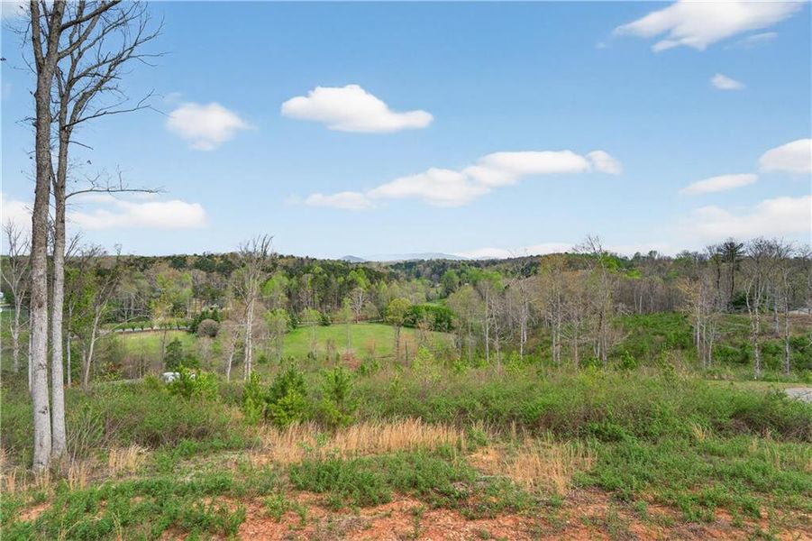 Natural landscape and outdoor views near  in Ellijay (Image 49).