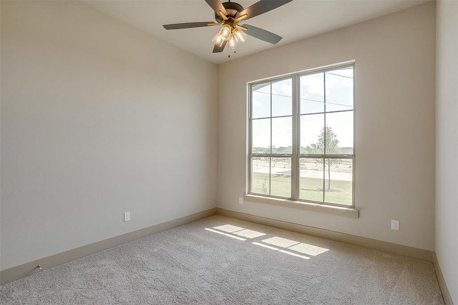Empty room featuring baseboards, a ceiling fan, a wealth of natural light, and carpet floors