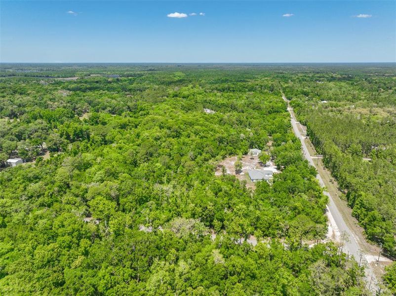 Natural landscape and outdoor views near  in Pierson (Image 44).