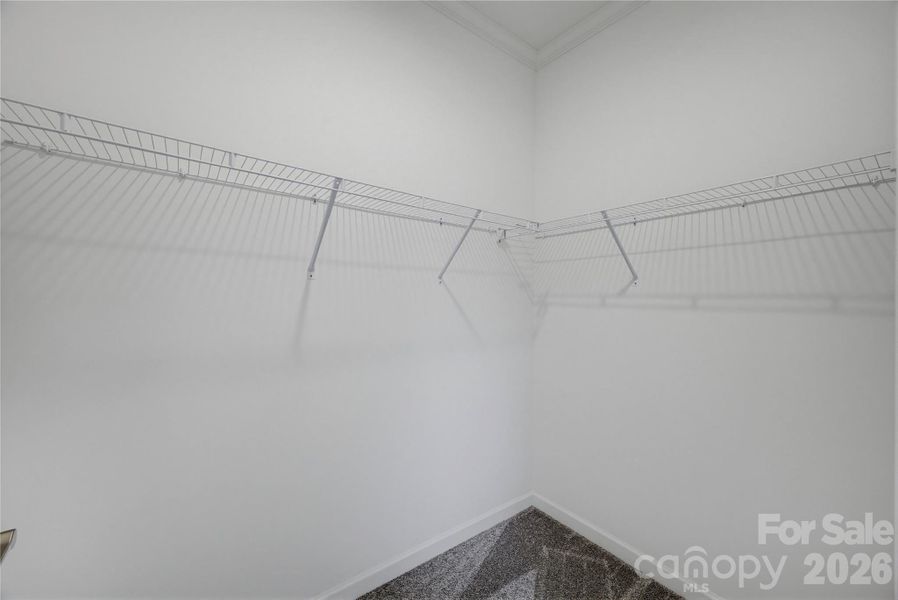 Spacious, unfurnished interior of a new home in , Newton (Image 31).