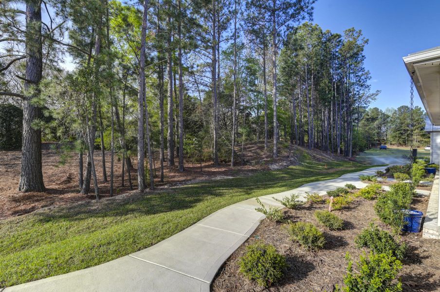 Natural landscape and outdoor views near Lake Carolina Townhomes in Columbia (Image 42).