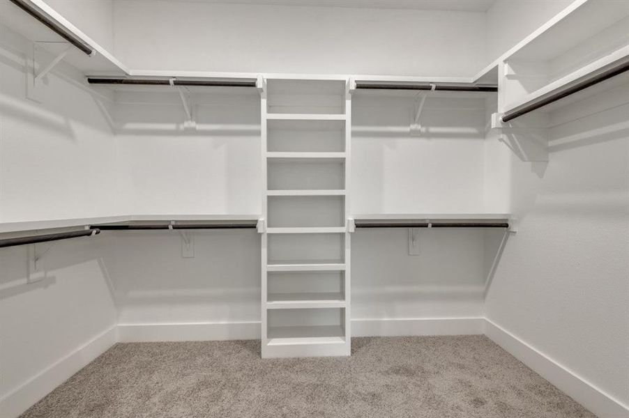 Walk in closet featuring carpet flooring