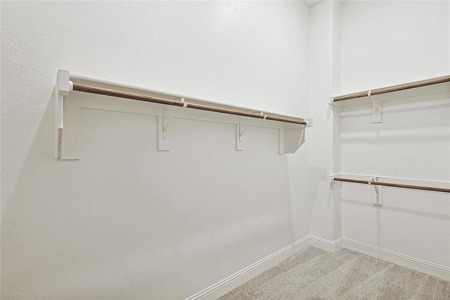 Spacious closet featuring carpet flooring