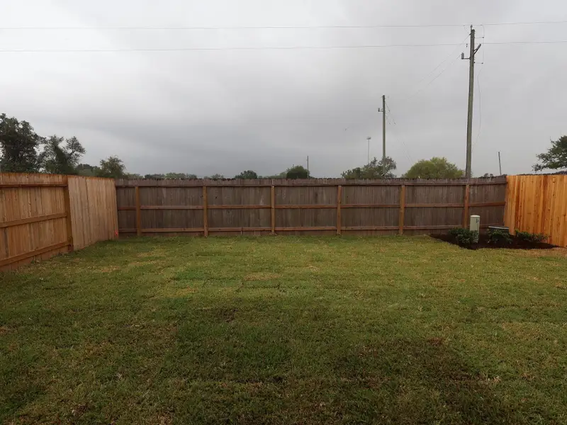 Backyard