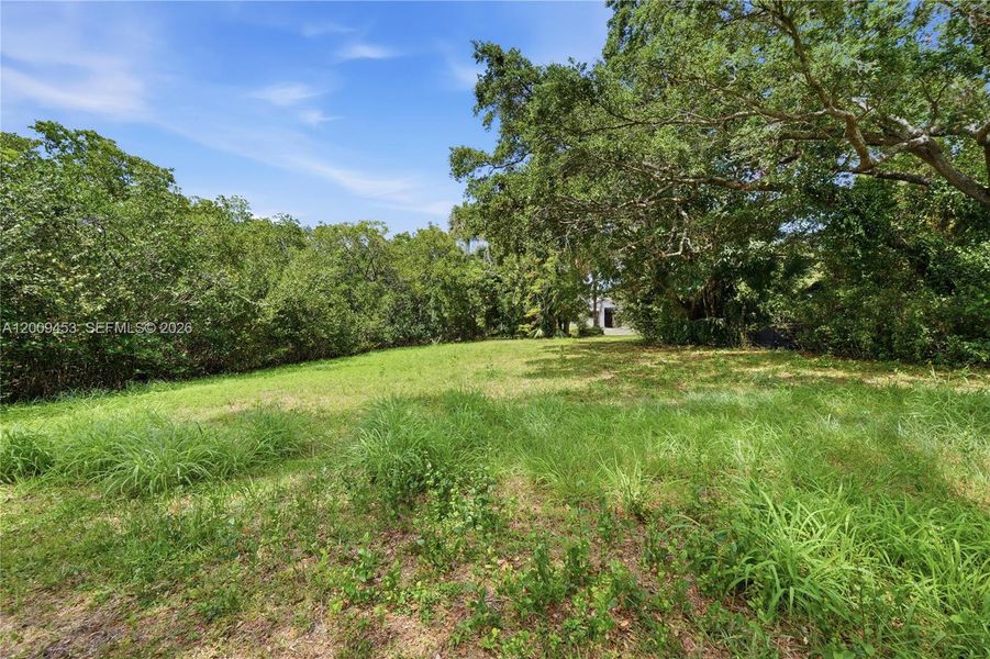 Natural landscape and outdoor views near  in Jupiter (Image 7).
