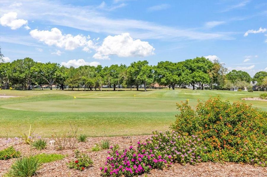 Natural landscape and outdoor views near Windchase at Halifax Plantation in Ormond Beach (Image 61). Natural landscape and outdoor views near Windchase at Halifax Plantation in Ormond Beach (Image 61).