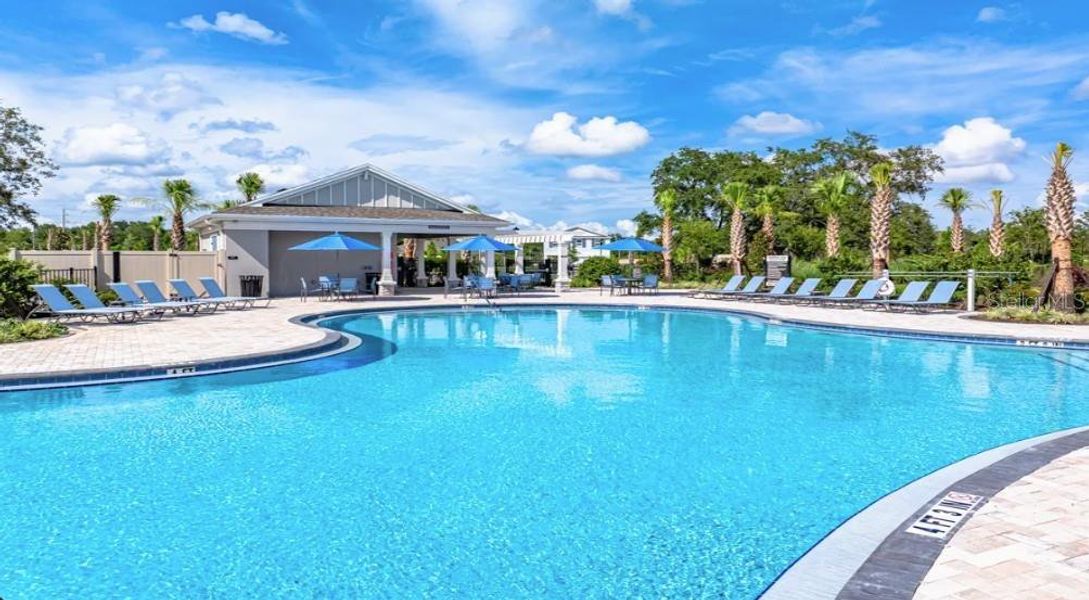 Community amenities in Palm Wind, Hudson (Image 19).