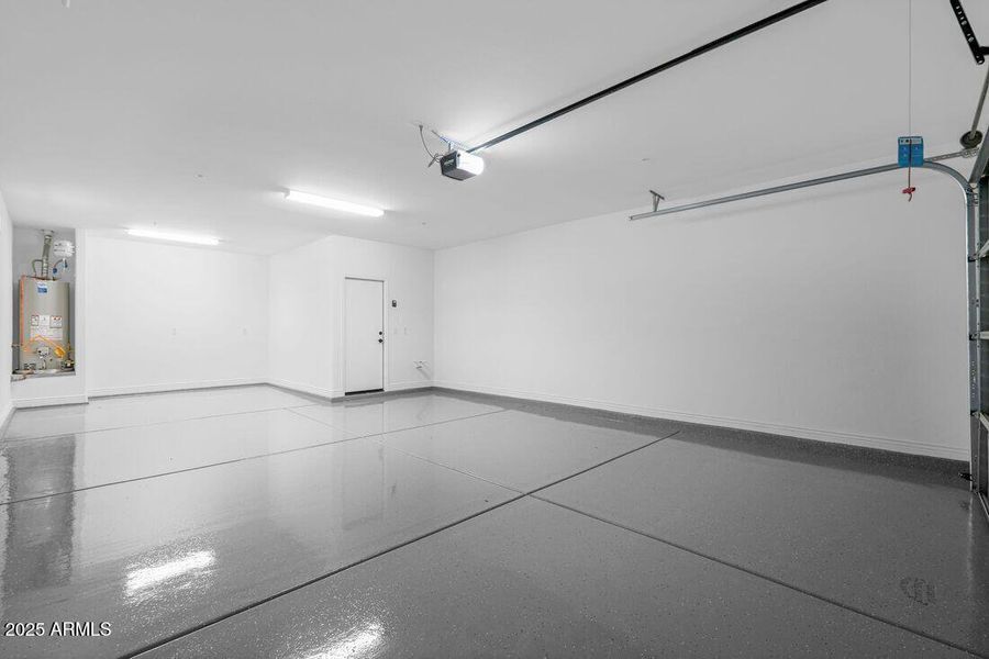 hj-az-phoenix-mystic-discovery-lily-lot-