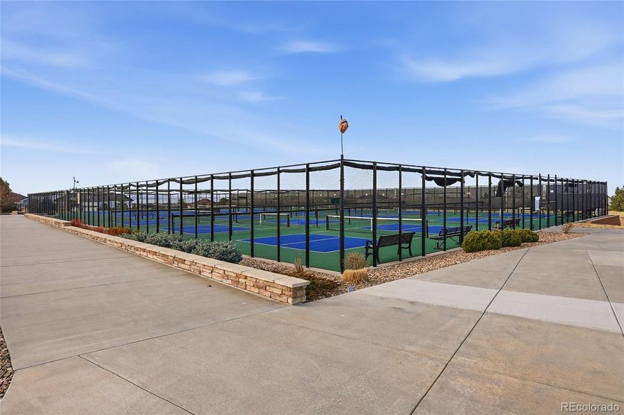 Pickle Ball Courts!