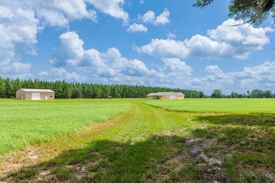 Natural landscape and outdoor views near  in Chiefland (Image 50).