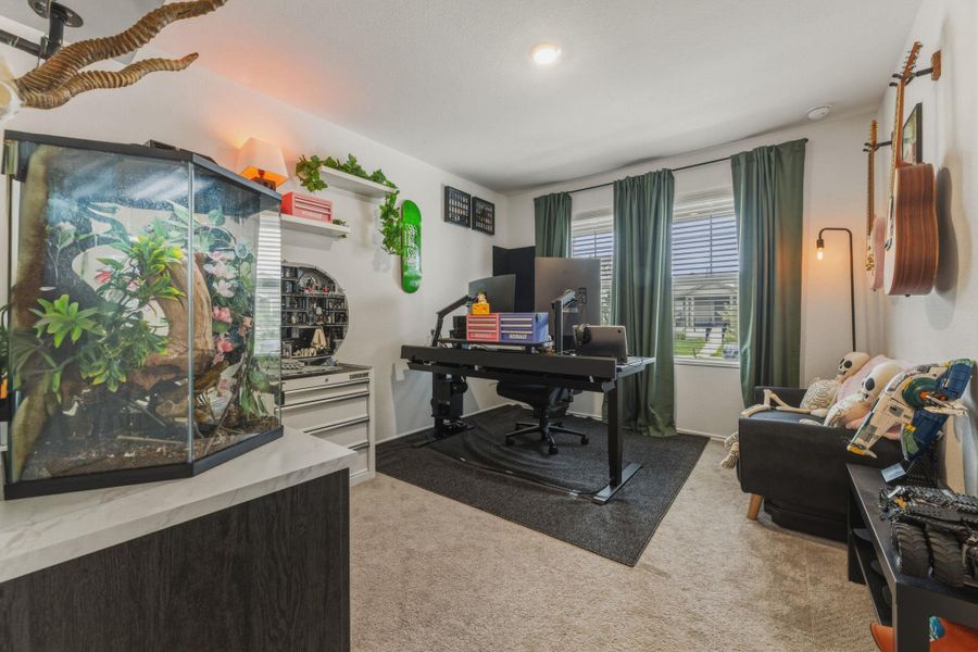 This room features carpeted flooring, two windows with blinds and curtains, and ceiling lighting