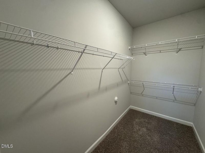 Photo Nov 16 2025, 3 40 27 PM (Medium)