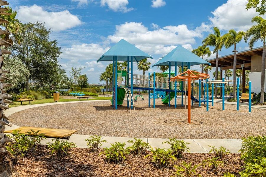 Community amenities in Waterset Garden Series, Apollo Beach (Image 51).