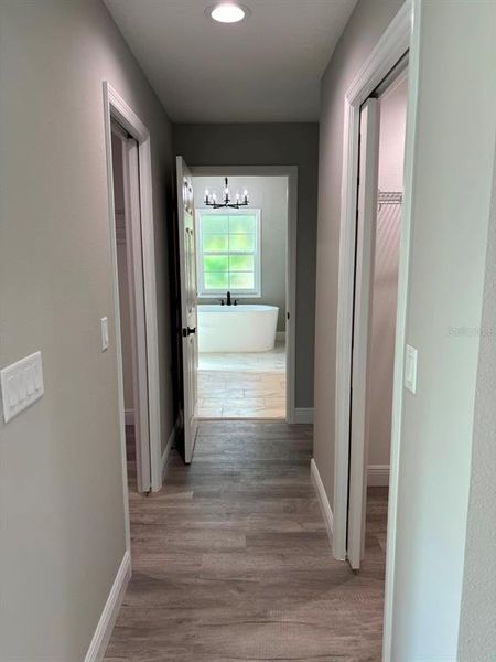 Spacious, unfurnished interior of a new home in , Beverly Hills (Image 42).