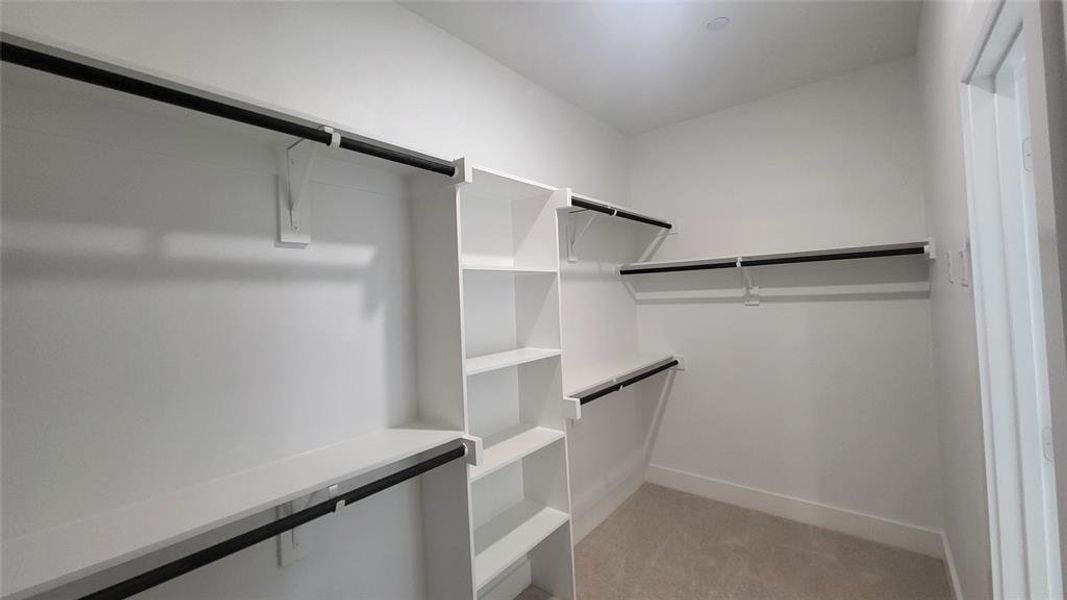 Spacious closet featuring light colored carpet