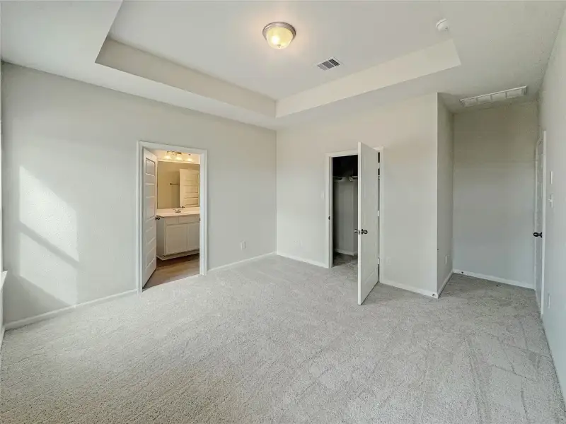 The Piedmont- Primary Bedroom with Tray Ceiling