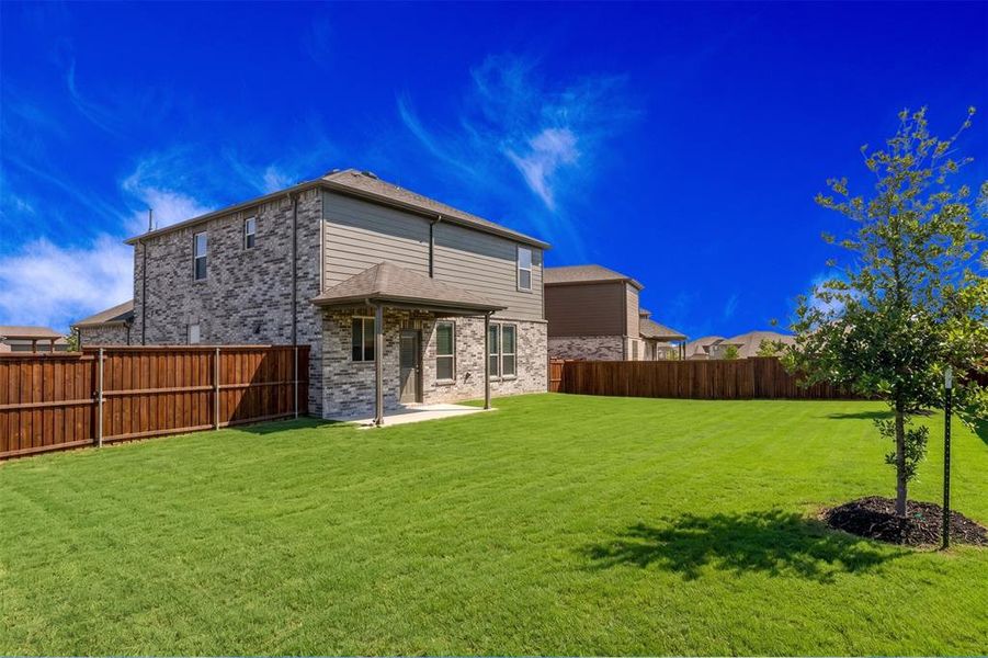 Expansive green lawn with a newly planted tree, bordered by a privacy fence