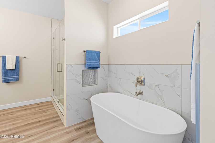 Master Bathroom bathtub