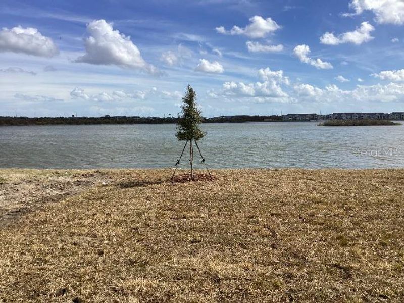 Natural landscape and outdoor views near Catamaran Cove in Rockledge (Image 33).