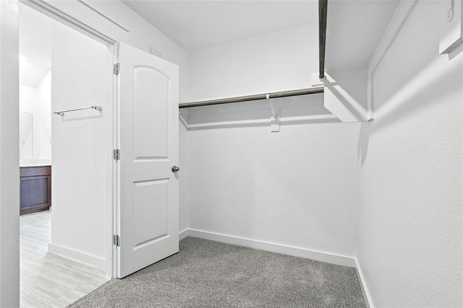 Walk in closet with light carpet Walk in closet with light carpet