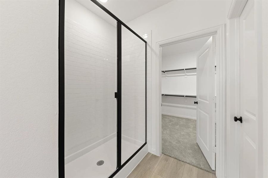 Spacious, unfurnished interior of a new home in Meadow Park, Melissa (Image 12).