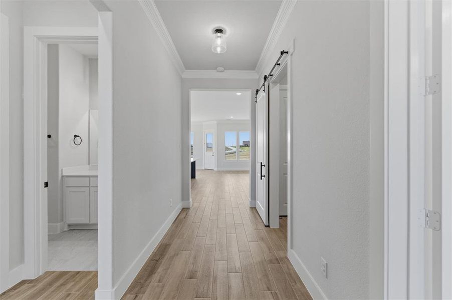 Hall with ornamental molding, light wood finished floors, and a barn door
