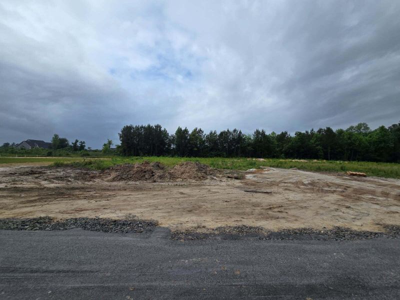 Site preparation for new homesites in , Holly Hill (Image 10). Site preparation for new homesites in , Holly Hill (Image 10).