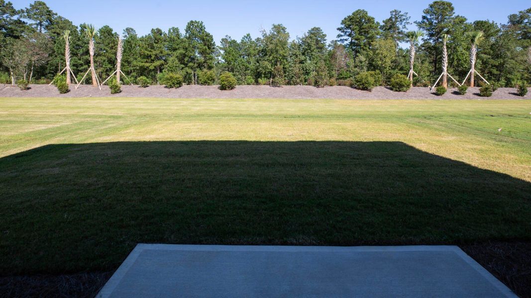 Outdoor and nature views near homes built from the WREN by D.R. Horton in Indigo Preserve, Leland (Image 39). Outdoor and nature views near homes built from the WREN by D.R. Horton in Indigo Preserve, Leland (Image 39).