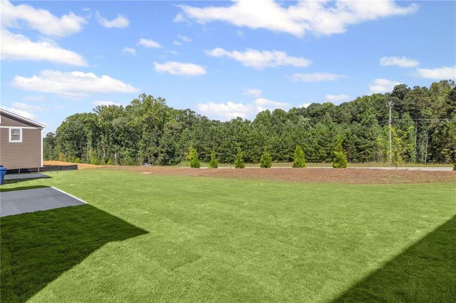 Front exterior of a new home in Sage Woods, Dallas, GA, highlighting curb appeal (Image 2). Front exterior of a new home in Sage Woods, Dallas, GA, highlighting curb appeal (Image 2).