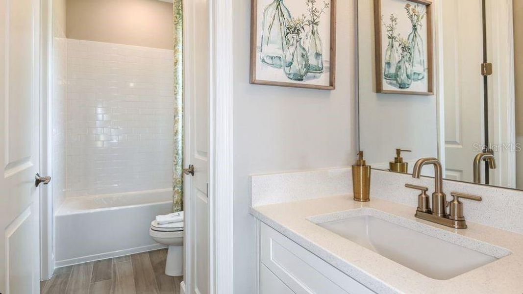 REPRESENTATIVE PHOTOS