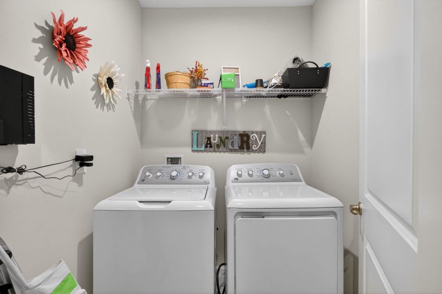 20-web-or-mls-3A5A6738