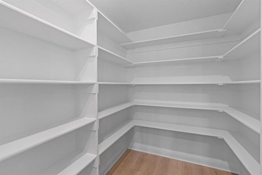 DAL_Painted Tree_Easton_3925 Menard Street (15) DAL_Painted Tree_Easton_3925 Menard Street (15)