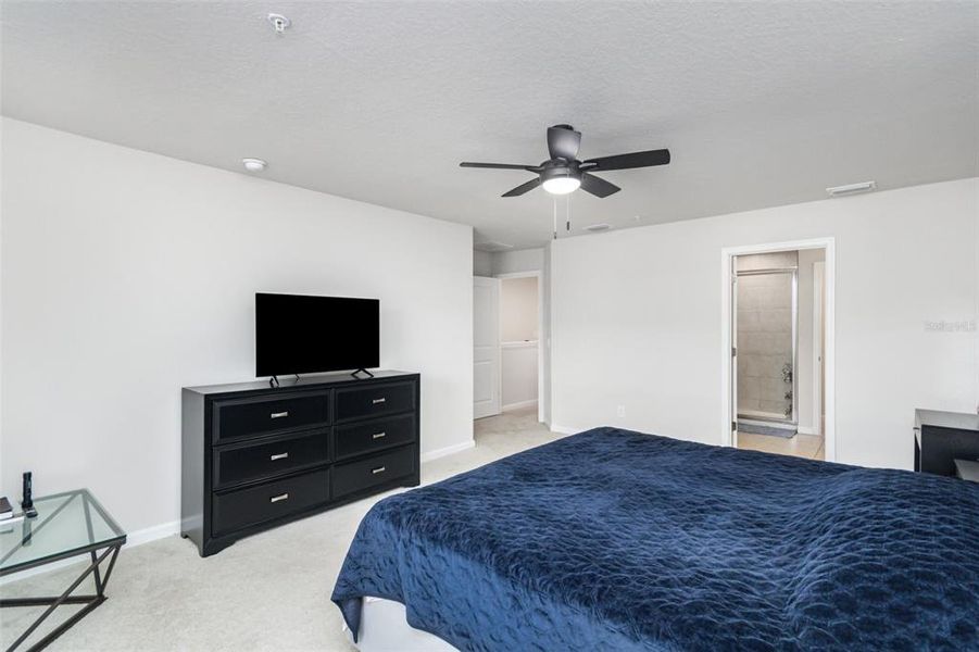 Furnished interior view inside a new home in , Clermont (Image 4).