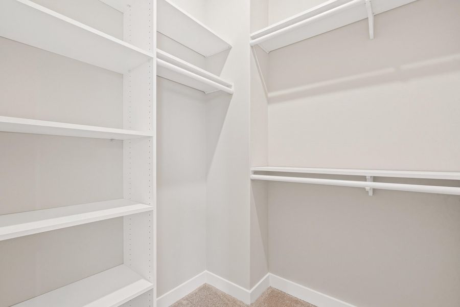Walk-in closet featuring white built-in shelving, white hanging rods, and carpet flooring Walk-in closet featuring white built-in shelving, white hanging rods, and carpet flooring