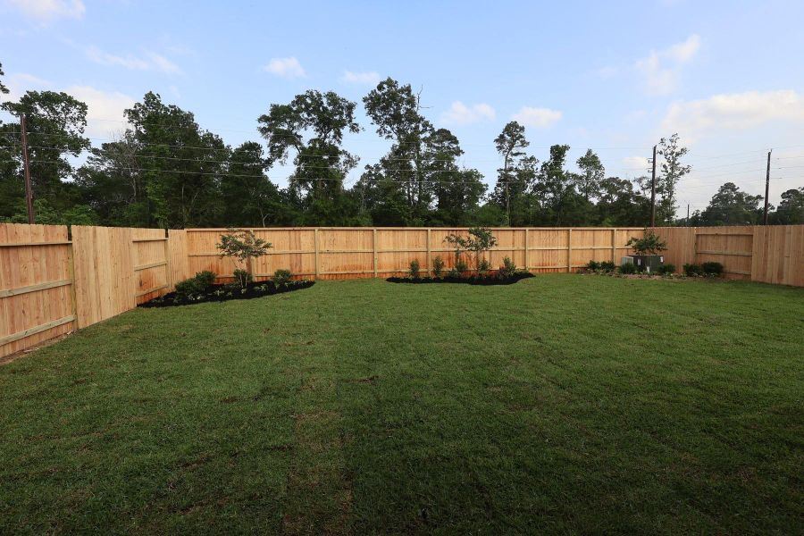 Peaceful backyard