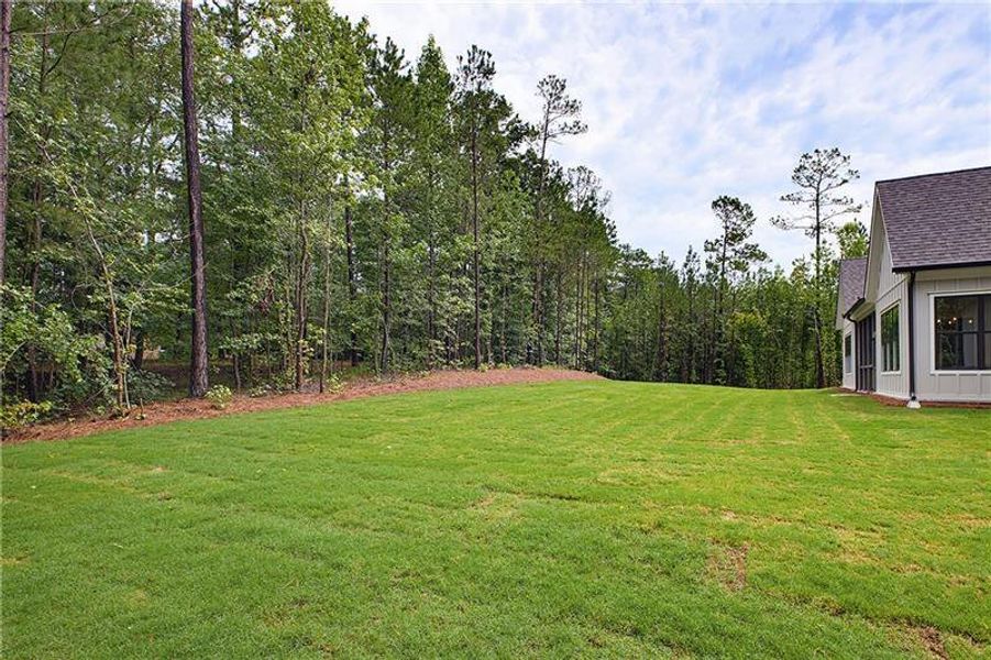 Exterior details and patio area of a home in , Newnan (Image 24).