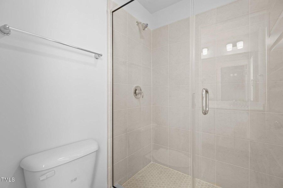 Model Representation Model Representation