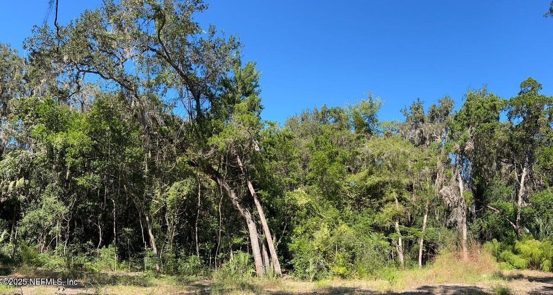 Natural landscape and outdoor views near  in St. Augustine (Image 4).
